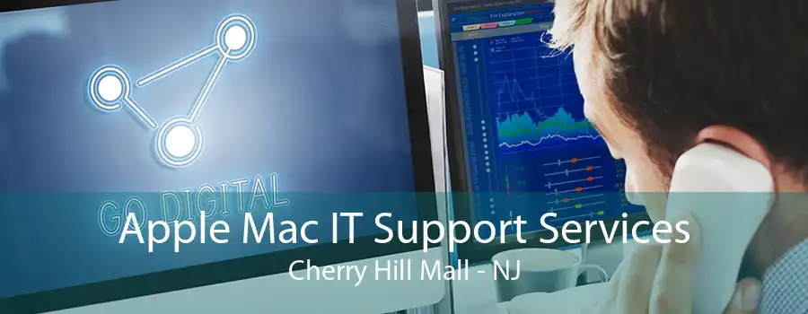 Apple Mac IT Support Services Cherry Hill Mall - NJ