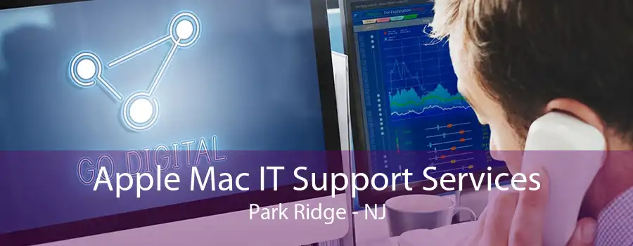 Apple Mac IT Support Services Park Ridge - NJ
