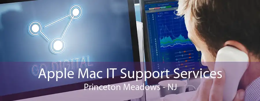 Apple Mac IT Support Services Princeton Meadows - NJ