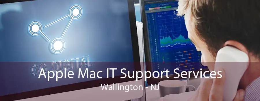 Apple Mac IT Support Services Wallington - NJ