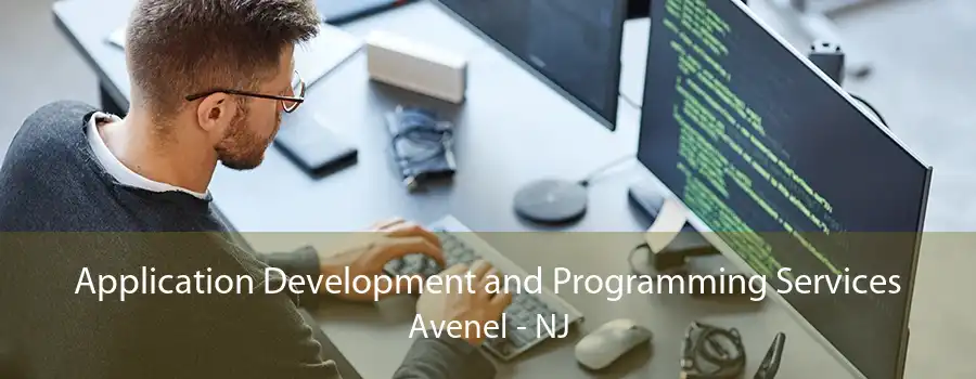 Application Development and Programming Services Avenel - NJ