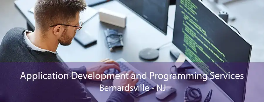 Application Development and Programming Services Bernardsville - NJ