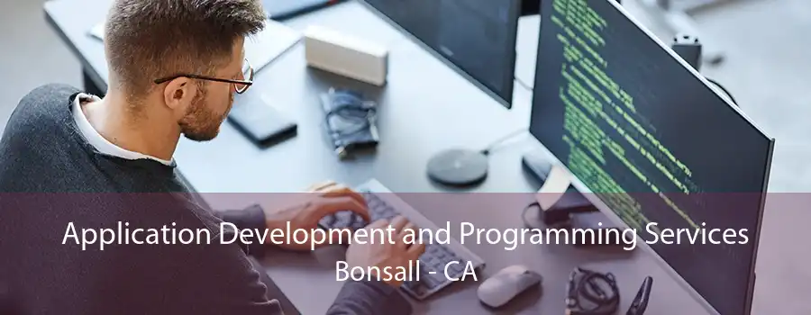 Application Development and Programming Services Bonsall - CA