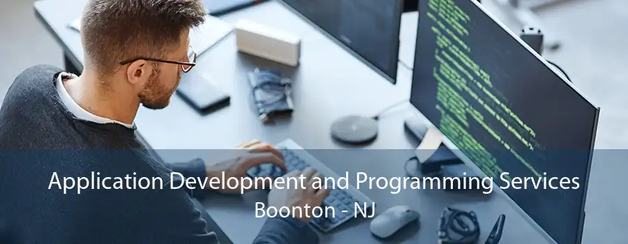 Application Development and Programming Services Boonton - NJ