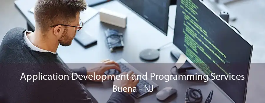 Application Development and Programming Services Buena - NJ