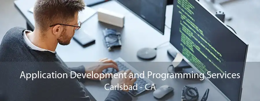 Application Development and Programming Services Carlsbad - CA