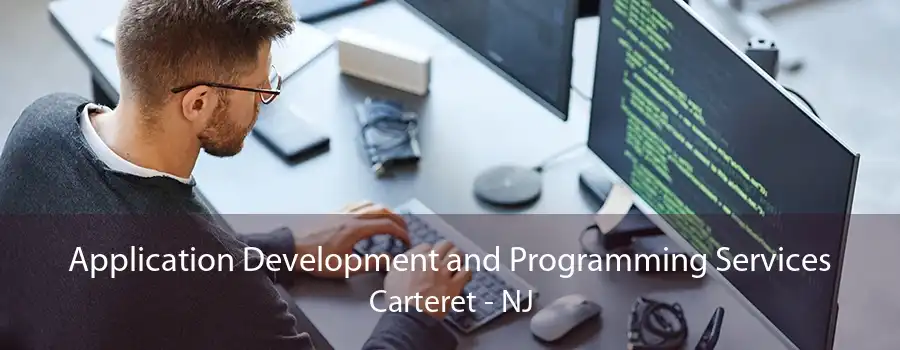 Application Development and Programming Services Carteret - NJ