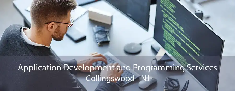 Application Development and Programming Services Collingswood - NJ