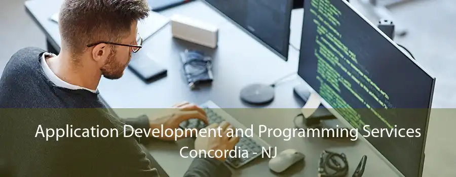 Application Development and Programming Services Concordia - NJ