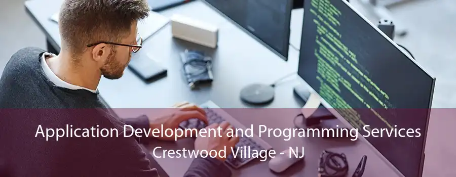 Application Development and Programming Services Crestwood Village - NJ