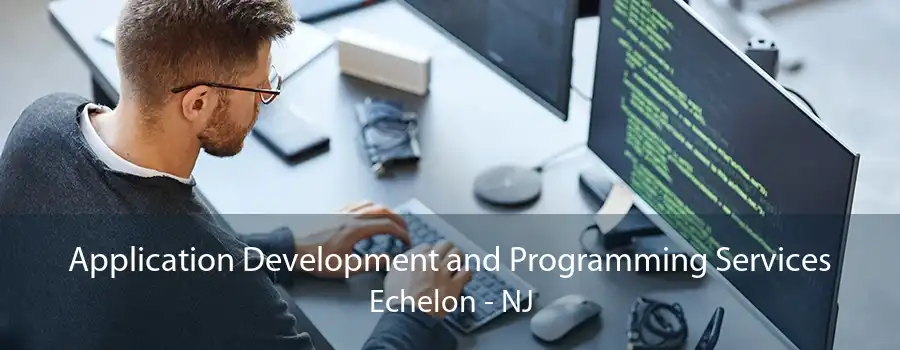 Application Development and Programming Services Echelon - NJ