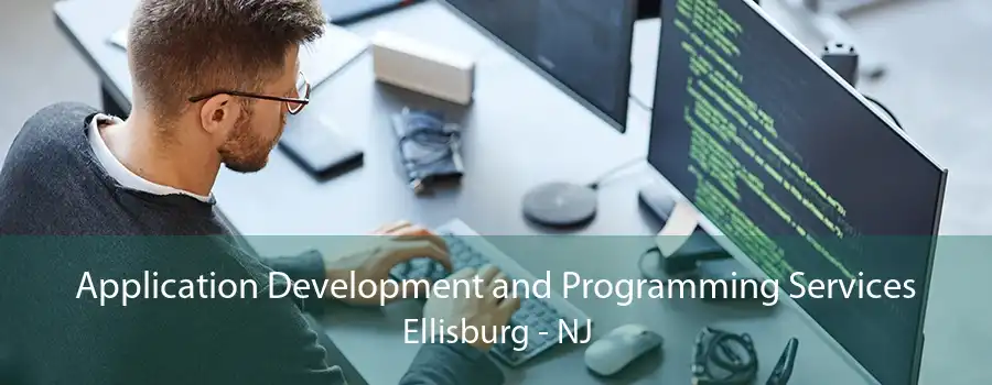 Application Development and Programming Services Ellisburg - NJ