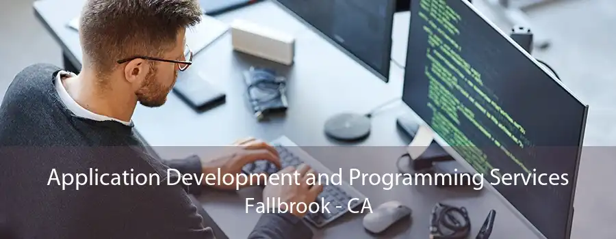 Application Development and Programming Services Fallbrook - CA