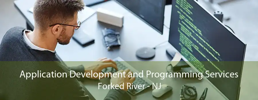 Application Development and Programming Services Forked River - NJ