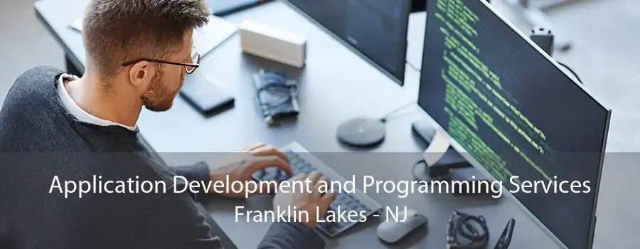 Application Development and Programming Services Franklin Lakes - NJ