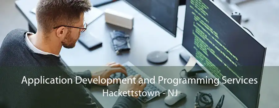 Application Development and Programming Services Hackettstown - NJ