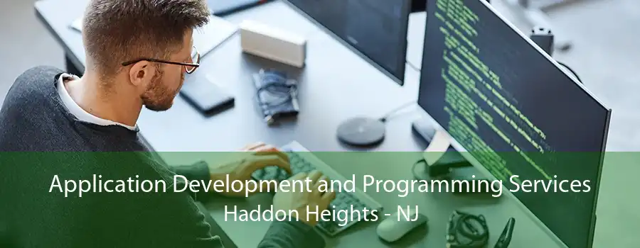 Application Development and Programming Services Haddon Heights - NJ