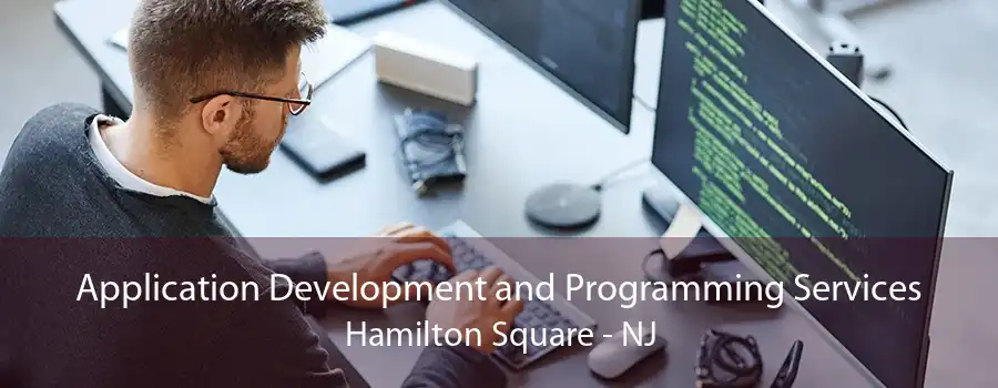 Application Development and Programming Services Hamilton Square - NJ