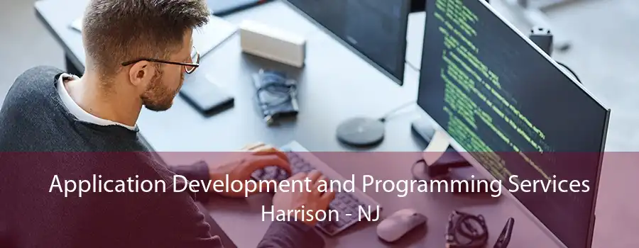 Application Development and Programming Services Harrison - NJ