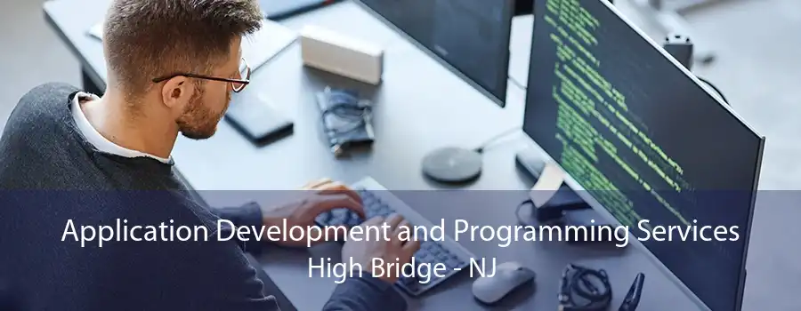 Application Development and Programming Services High Bridge - NJ