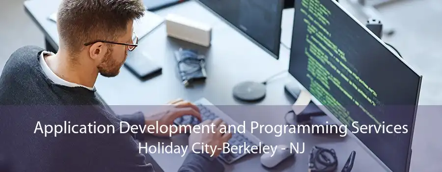 Application Development and Programming Services Holiday City-Berkeley - NJ