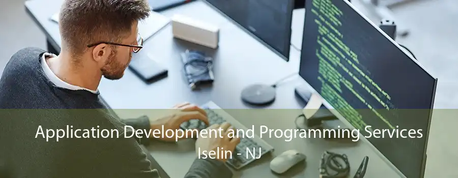 Application Development and Programming Services Iselin - NJ