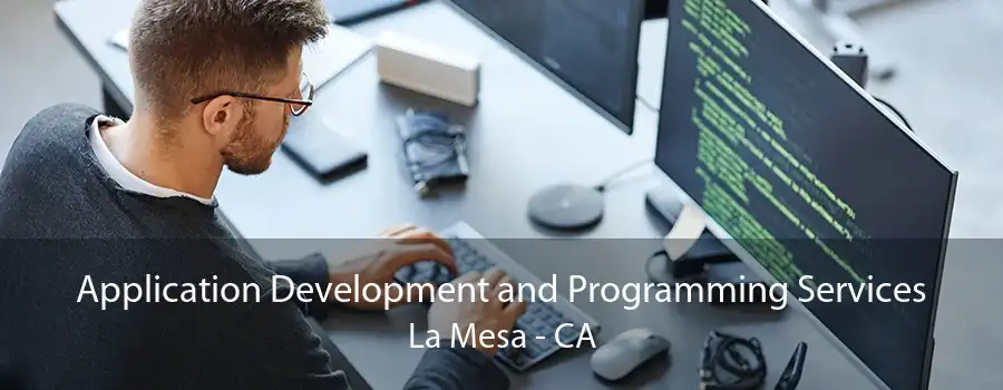 Application Development and Programming Services La Mesa - CA