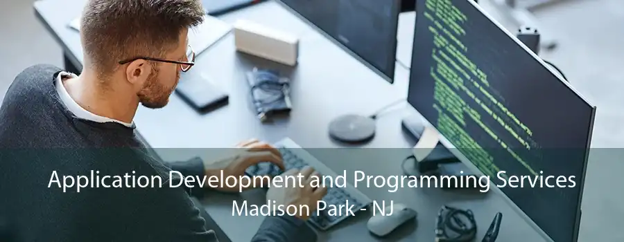 Application Development and Programming Services Madison Park - NJ