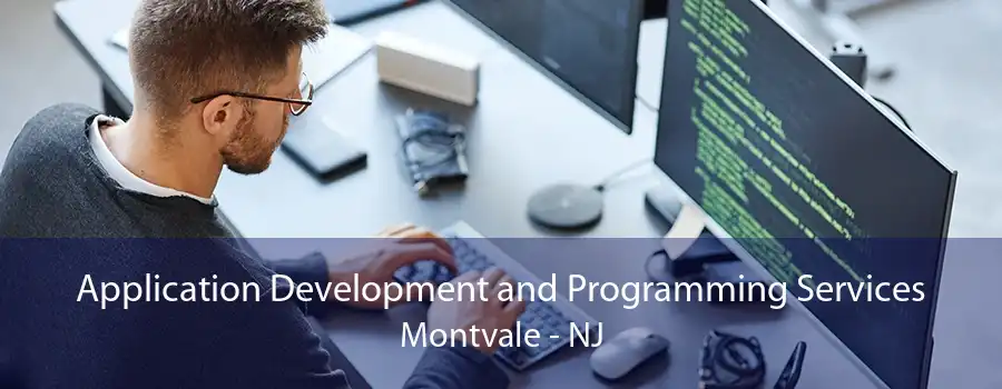 Application Development and Programming Services Montvale - NJ