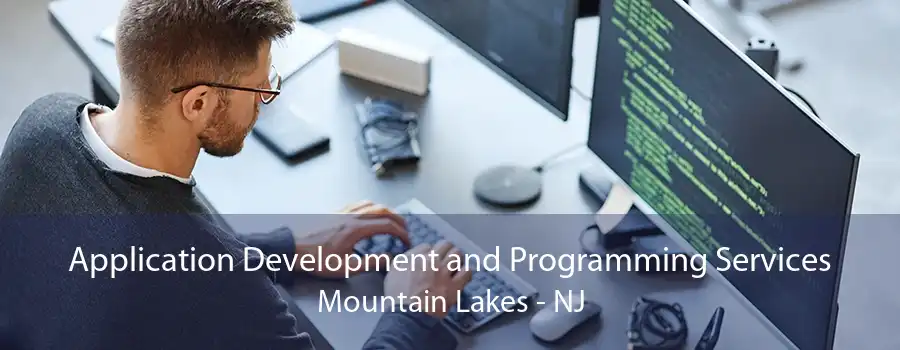 Application Development and Programming Services Mountain Lakes - NJ