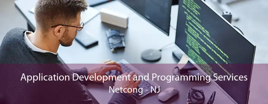 Application Development and Programming Services Netcong - NJ