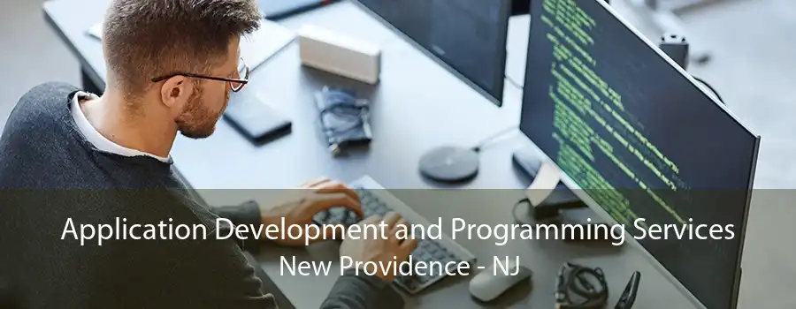 Application Development and Programming Services New Providence - NJ