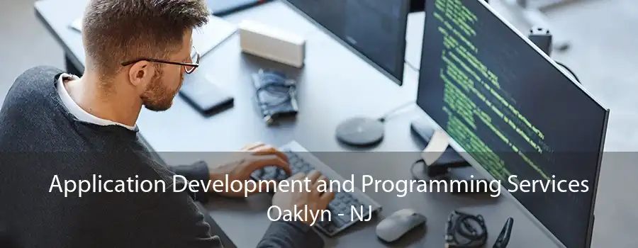 Application Development and Programming Services Oaklyn - NJ