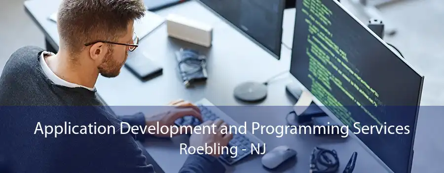 Application Development and Programming Services Roebling - NJ