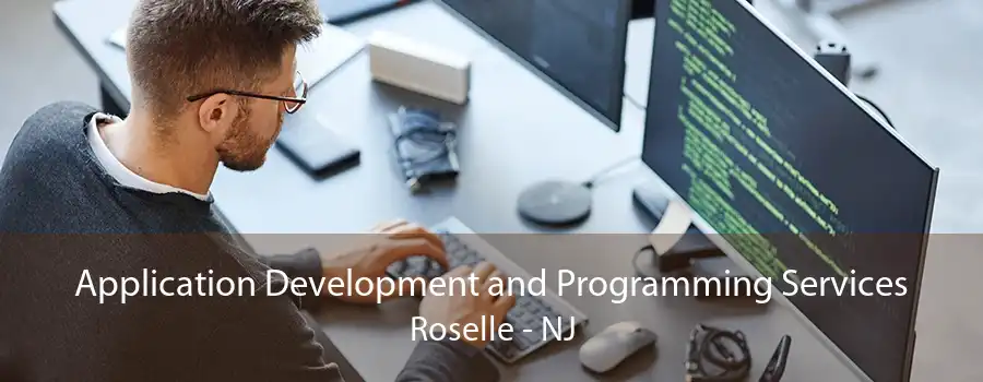 Application Development and Programming Services Roselle - NJ