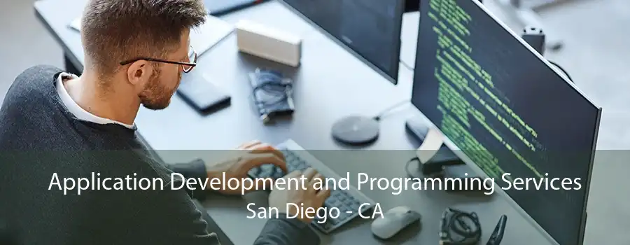 Application Development and Programming Services San Diego - CA