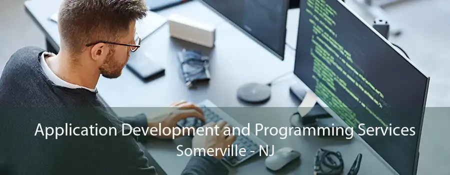 Application Development and Programming Services Somerville - NJ