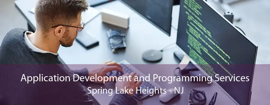 Application Development and Programming Services Spring Lake Heights - NJ