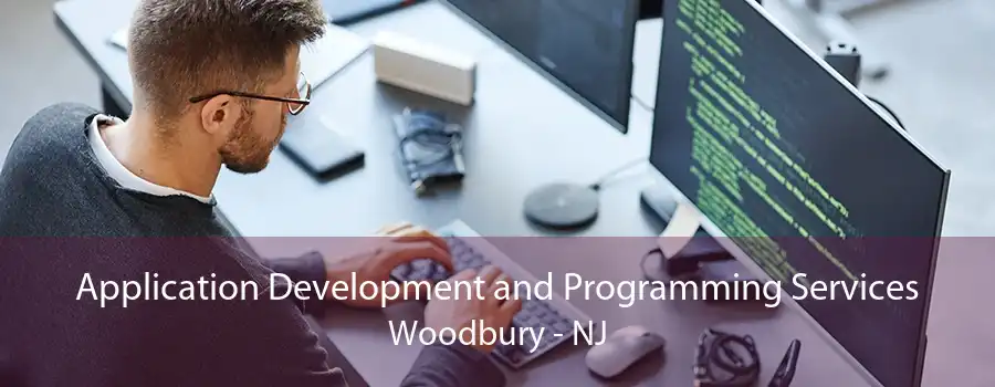 Application Development and Programming Services Woodbury - NJ