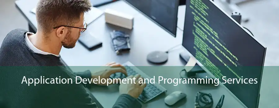 Application Development and Programming Services 