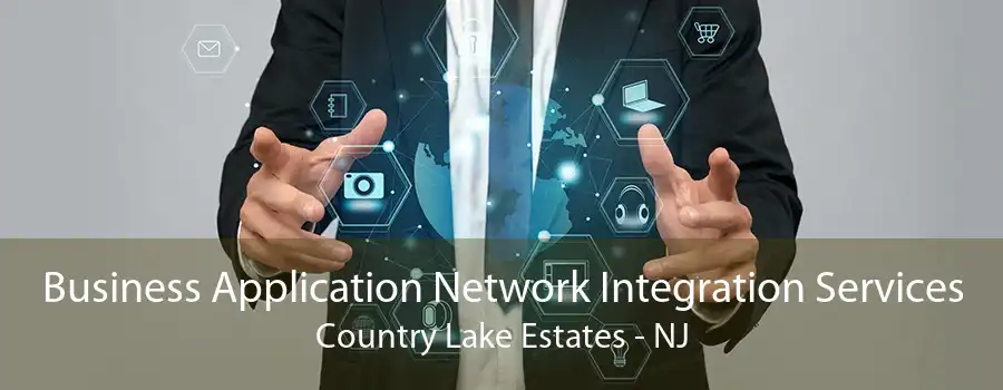 Business Application Network Integration Services Country Lake Estates - NJ