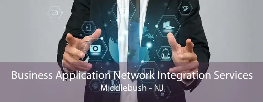 Business Application Network Integration Services Middlebush - NJ