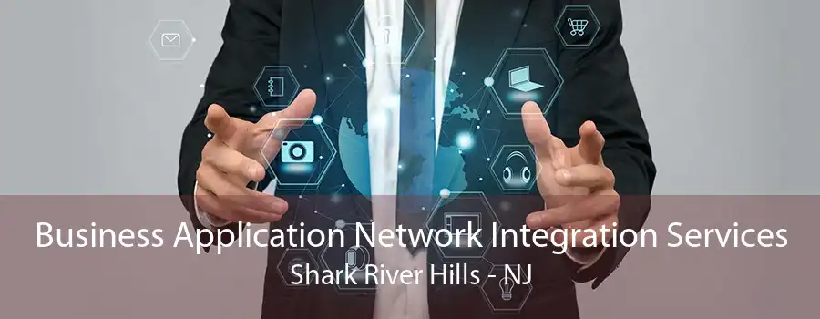 Business Application Network Integration Services Shark River Hills - NJ