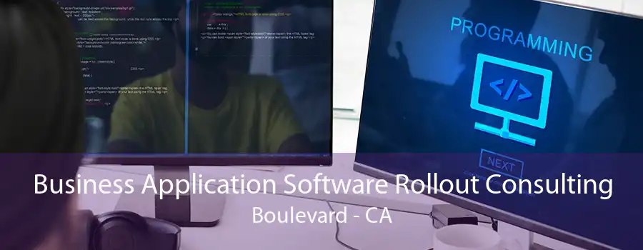 Business Application Software Rollout Consulting Boulevard - CA
