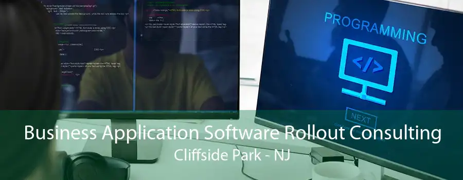 Business Application Software Rollout Consulting Cliffside Park - NJ