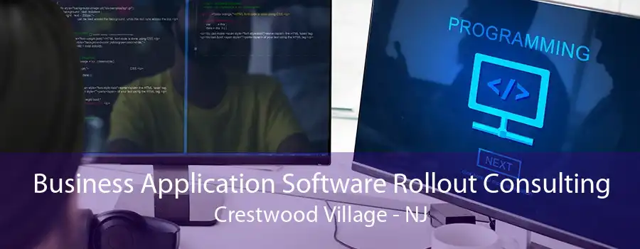 Business Application Software Rollout Consulting Crestwood Village - NJ