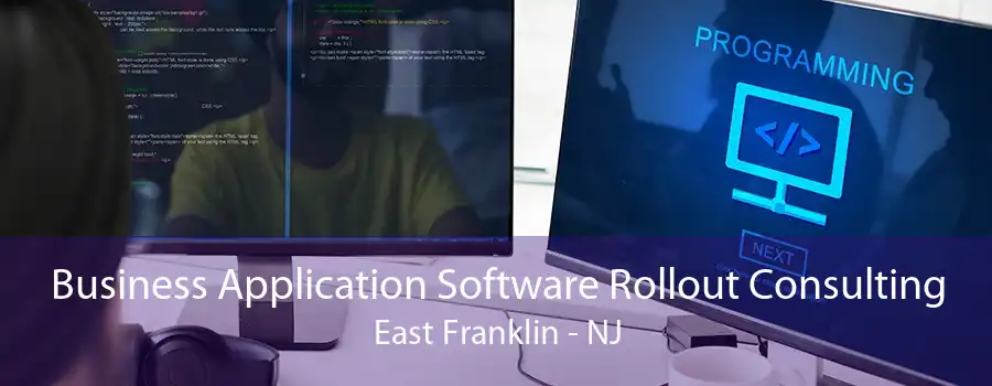 Business Application Software Rollout Consulting East Franklin - NJ