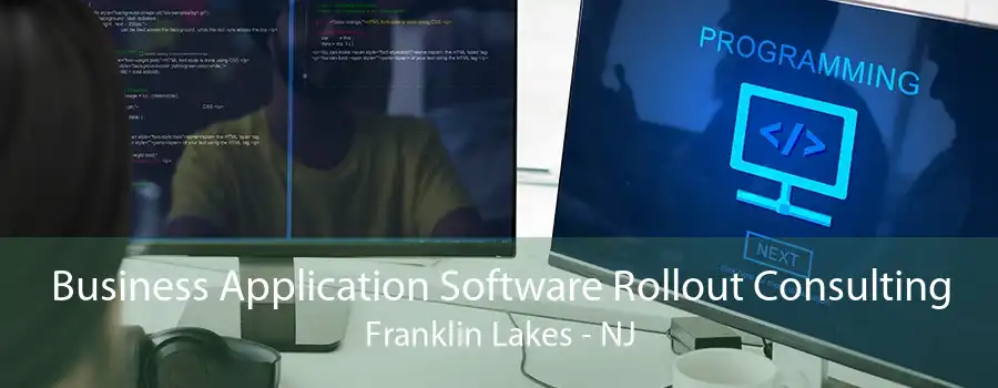 Business Application Software Rollout Consulting Franklin Lakes - NJ