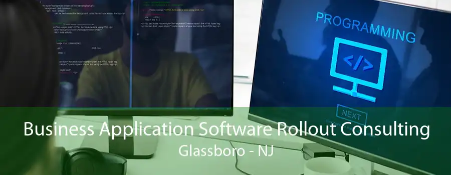 Business Application Software Rollout Consulting Glassboro - NJ