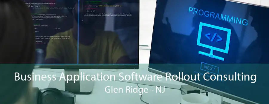 Business Application Software Rollout Consulting Glen Ridge - NJ